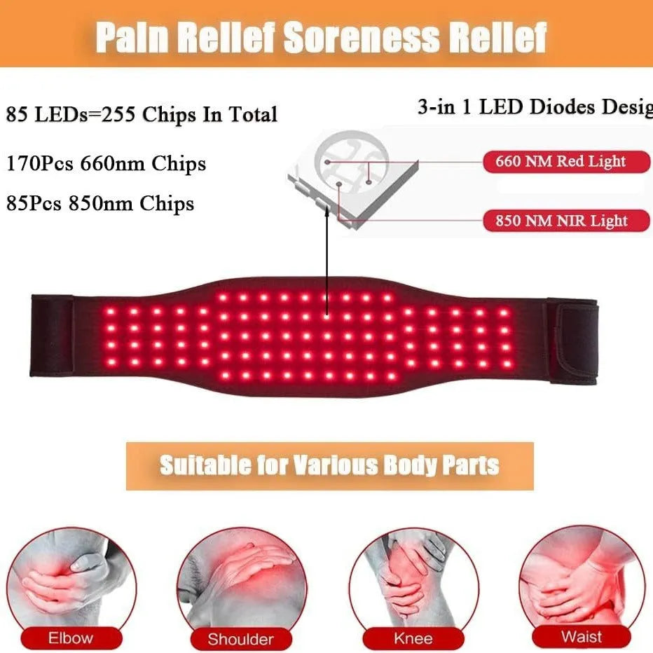 Black infrared physical therapy belt with adjustable strap for waist pain relief