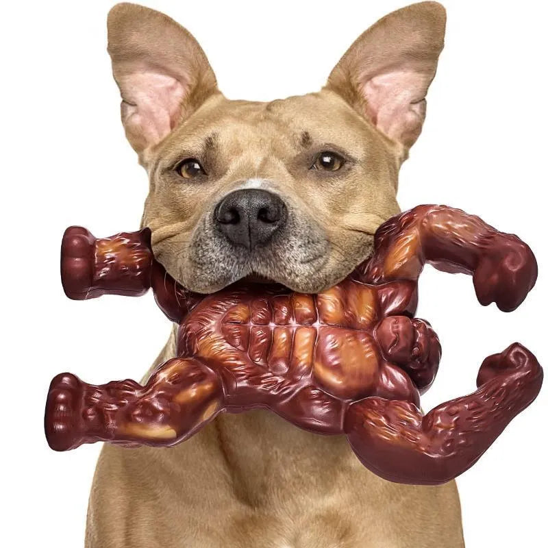 Scarlet nylon dog chew toy with beef flavour for molar nibbling, measuring 10.7x17.2x5cm