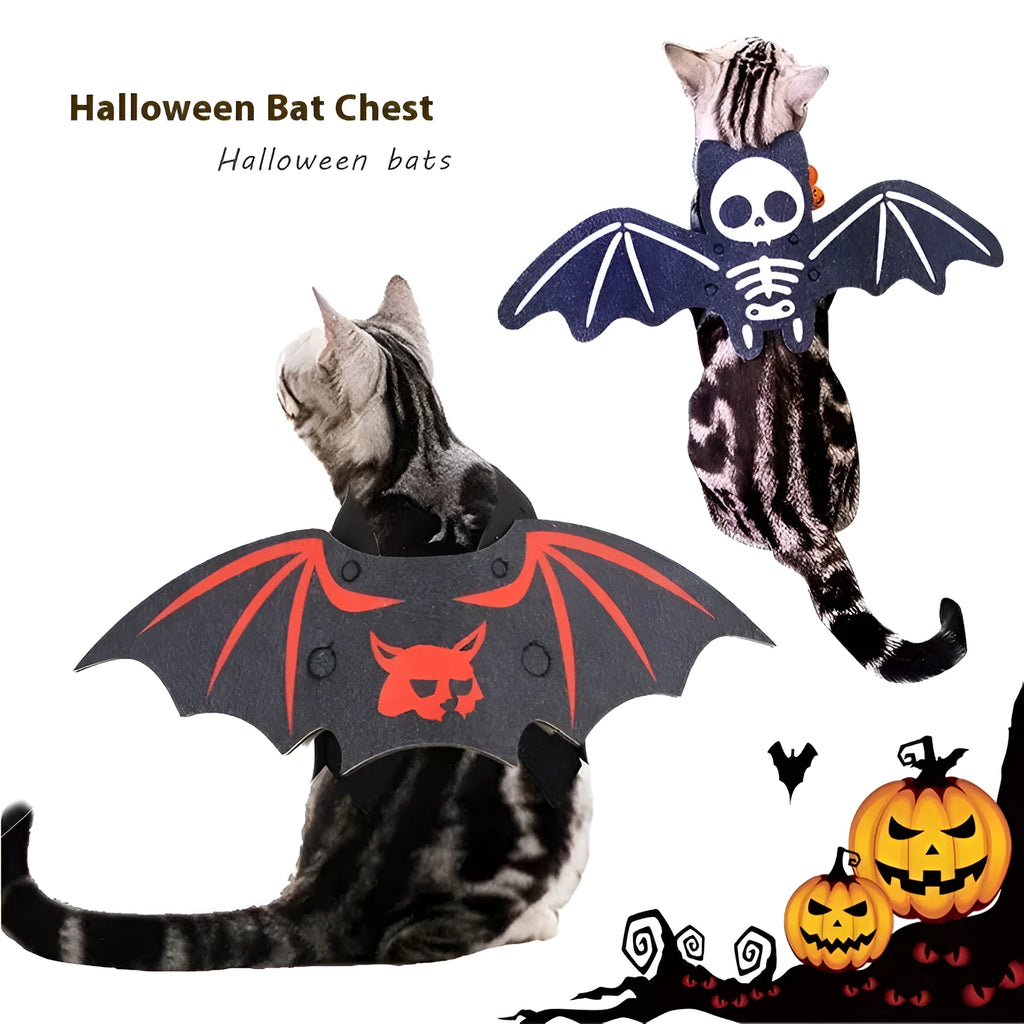 Halloween batwing costume for a cat in felt, shown in pumpkin bat colour on a feline.