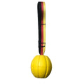 Floating EVA foam dog training ball in camouflage and yellow colours showing three size options