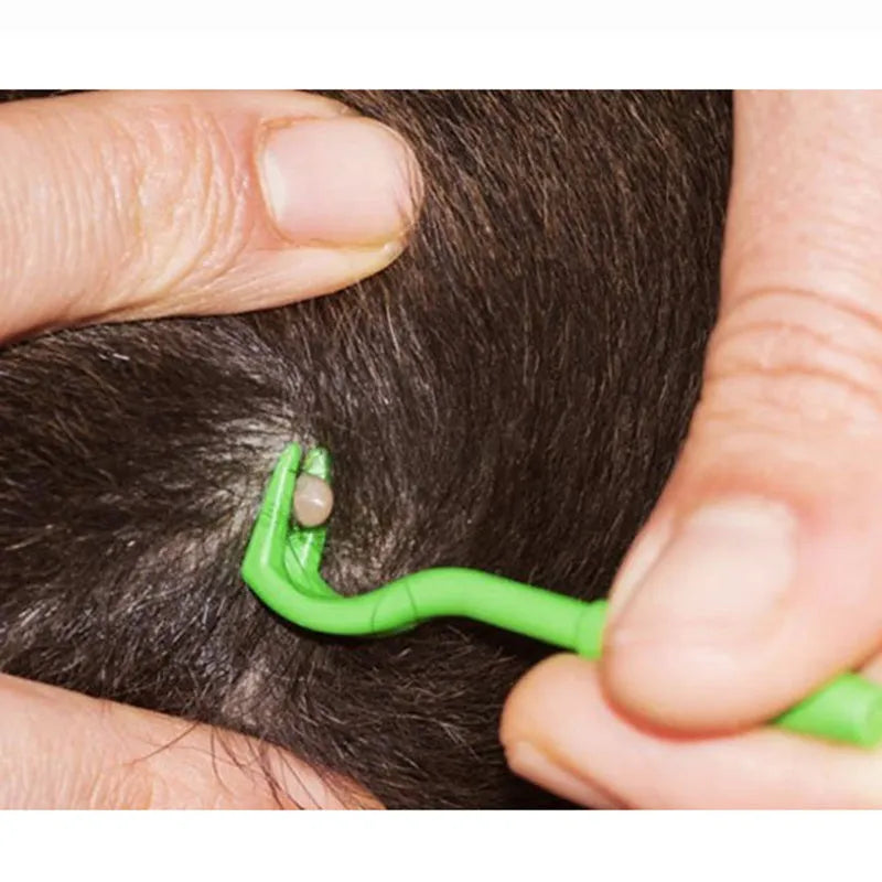Three plastic tick removal clips for pets in blue and green on a white background.