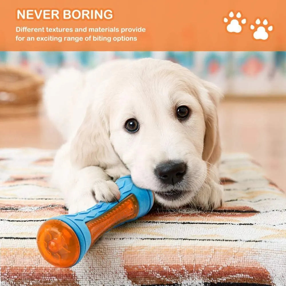 TPR dog toy set with ball, barbell, and tires floating in water