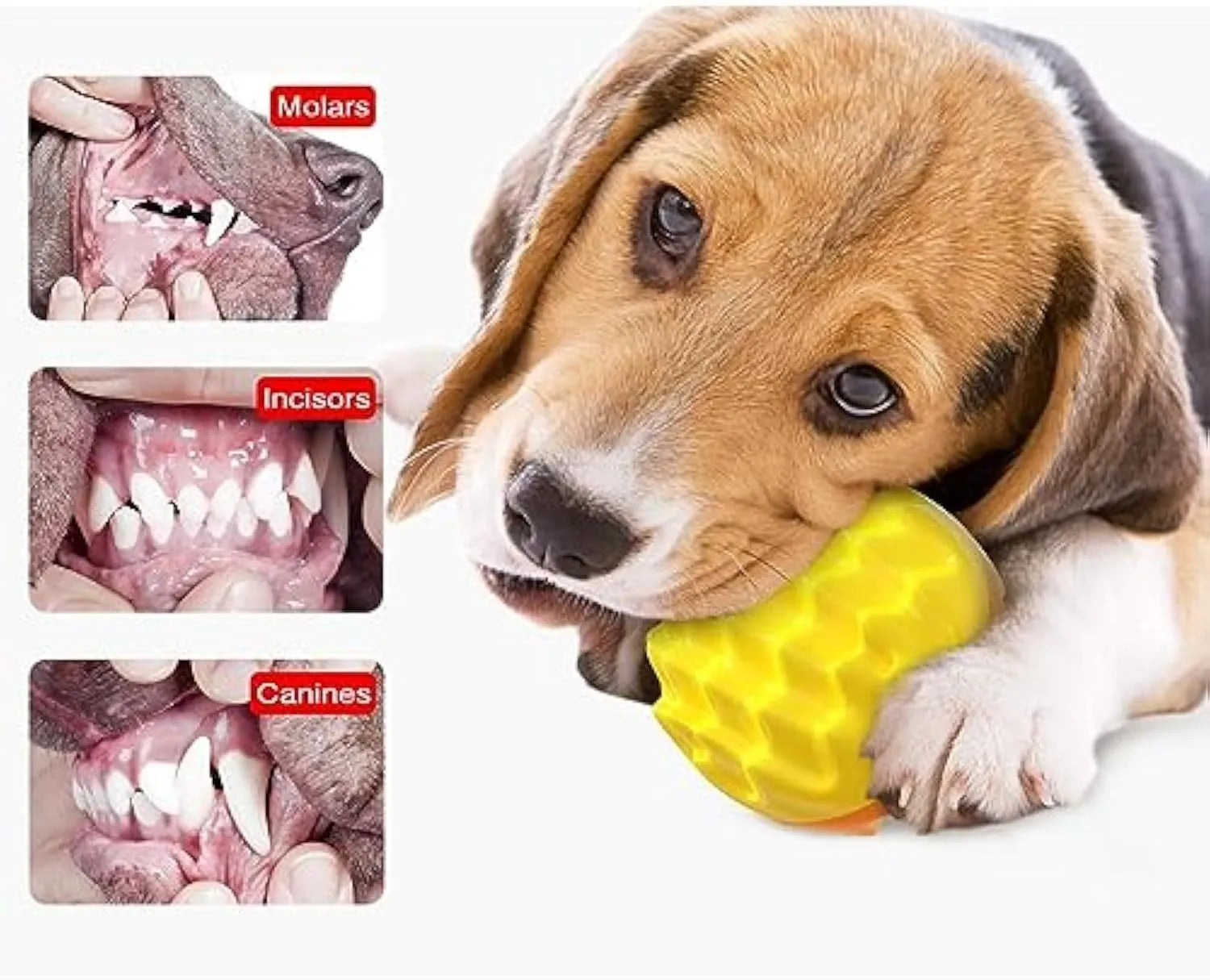 Blue and orange squeaky dog ball toy with dental cleaning spiky bumps for aggressive chewers