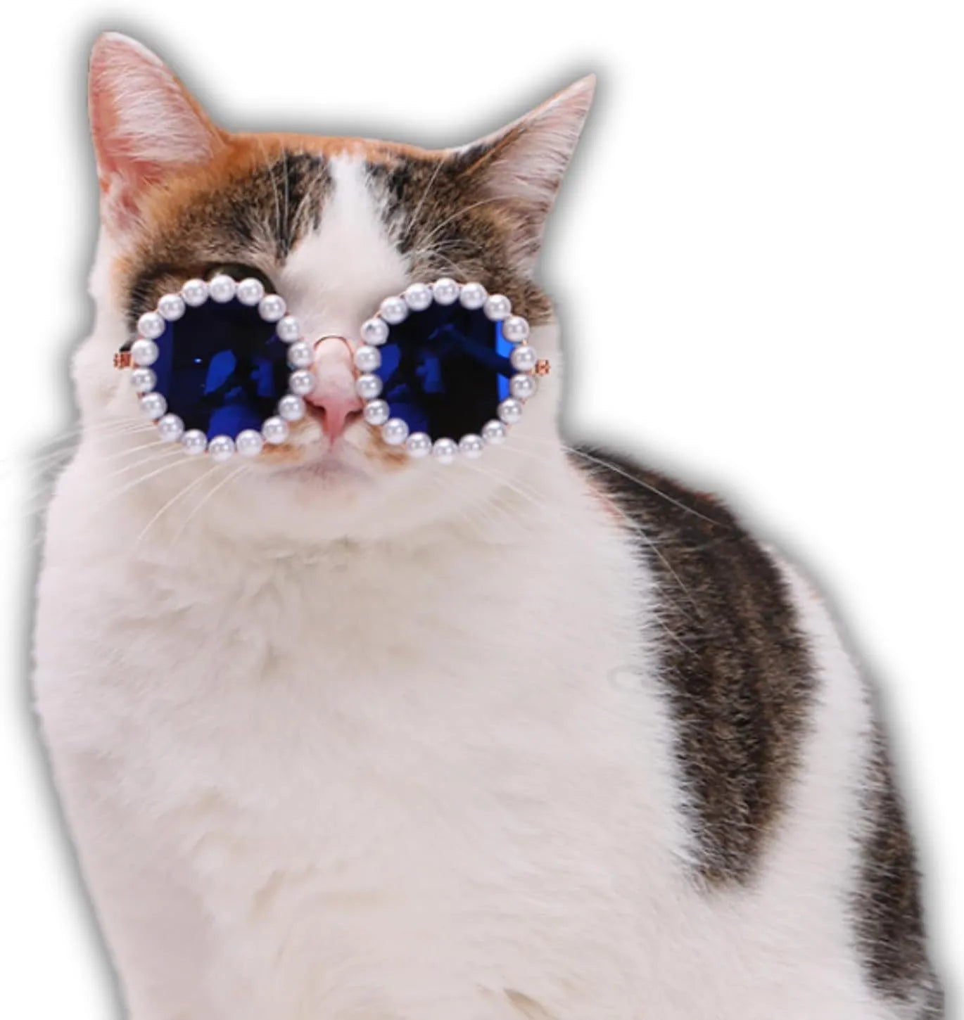 Pearl-rimmed round sunglasses for pets in blue, black, coffee, orange and purple colours