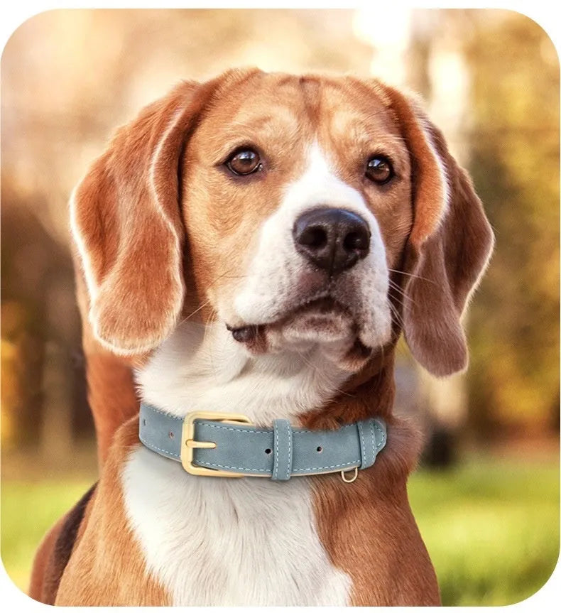 A double-layer mohair leather dog collar and matching lead in rose red, shown alongside brown and blue colour options.