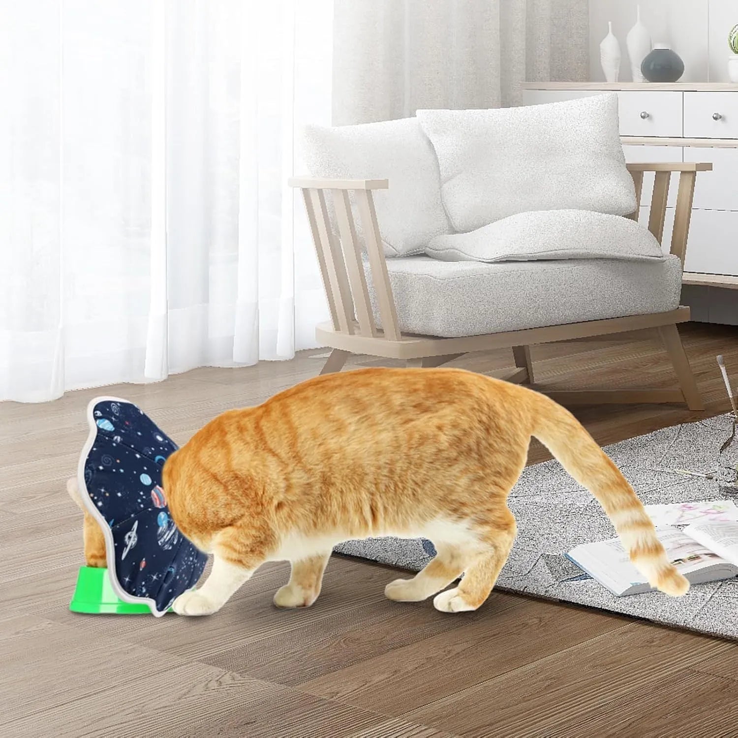 Soft fabric cat recovery cone collar with adjustable fastener in constellation or planet design