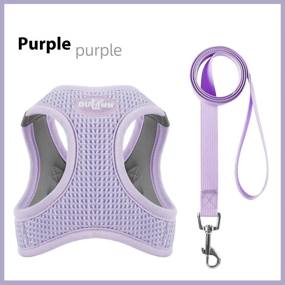 Waffle cloth pet harness with hand holding rope chest strap in brown, green, and purple colours