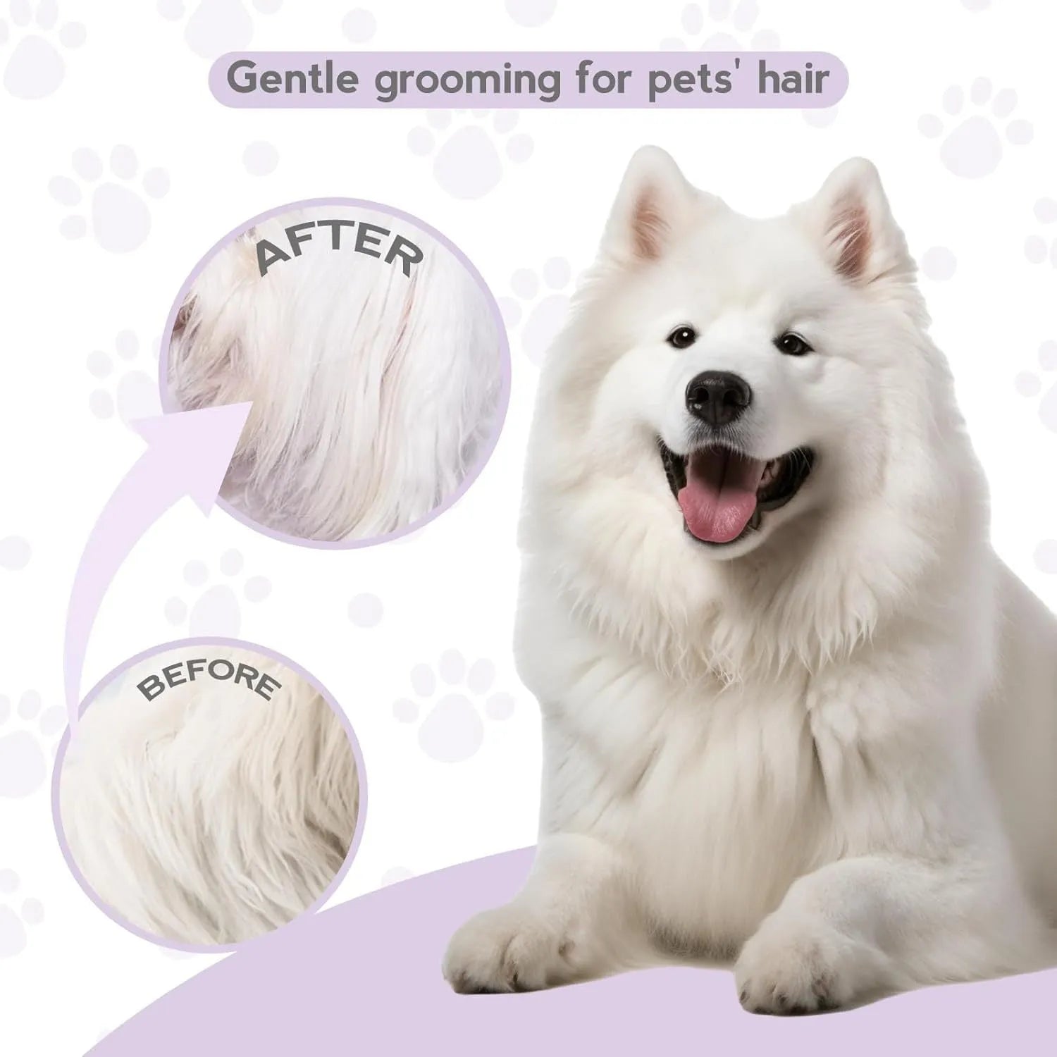Purple pet detangling comb with stainless steel teeth shown on a dark background