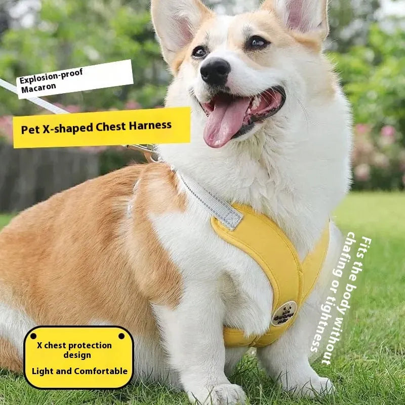 Dog walking vest with attached hand-holding rope in blue, green, pink or yellow colours