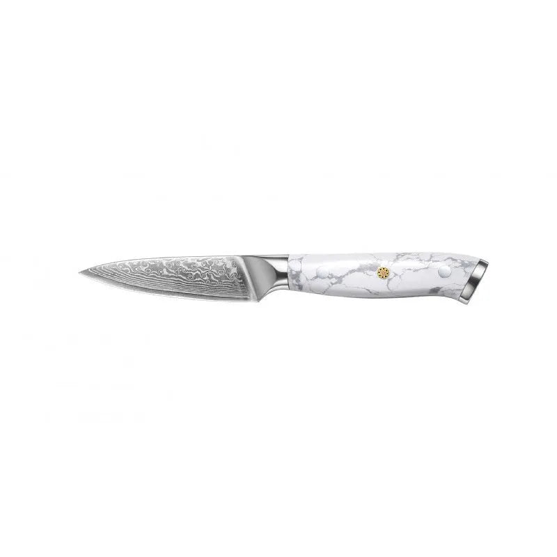 Damascus pattern combined chef's knife with 21cm VG10 steel blade and 11cm handle