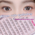 Pack of 12-row segment false eyelashes in 4mm, 5mm, and 6mm lengths with pointed tails.