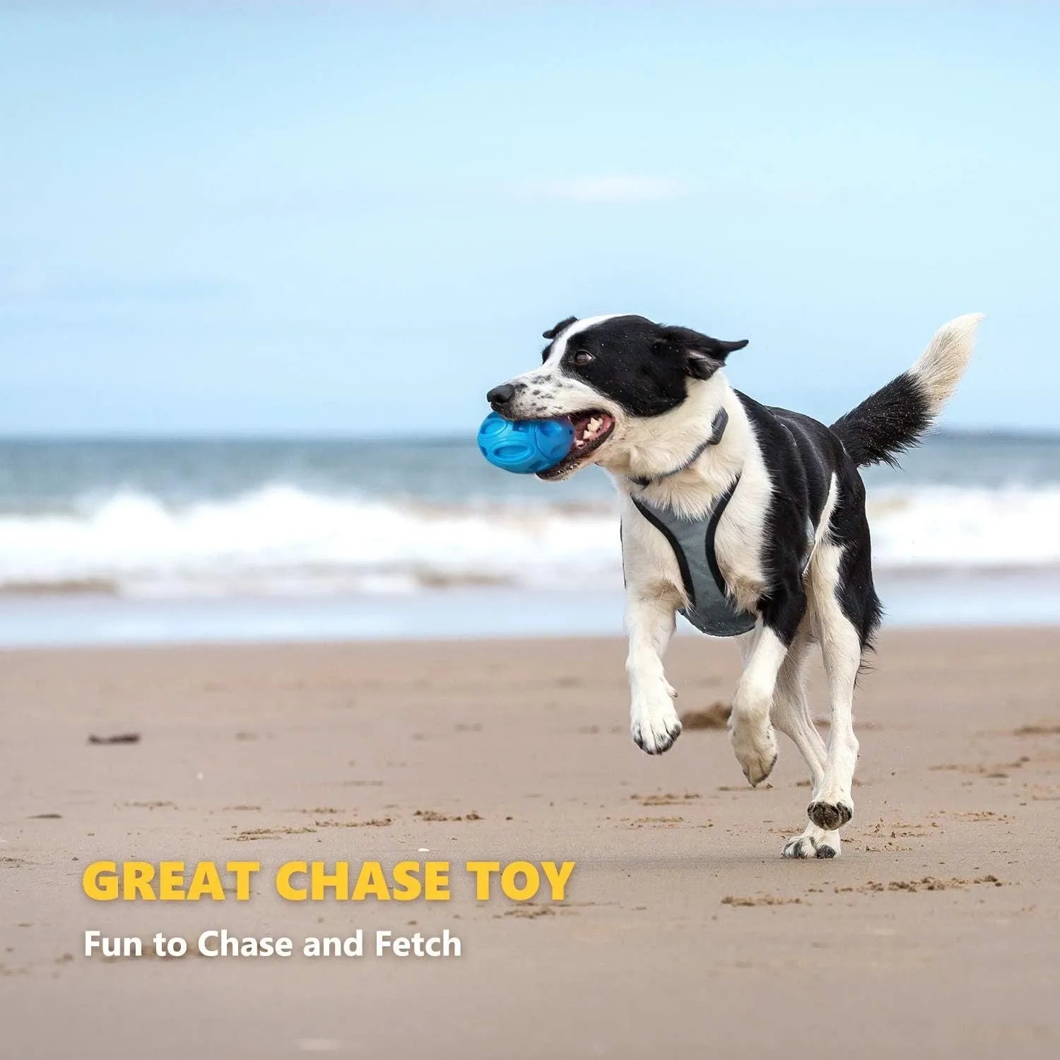 Blue, green, and orange natural rubber squeaky dog chew ball for aggressive chewers.