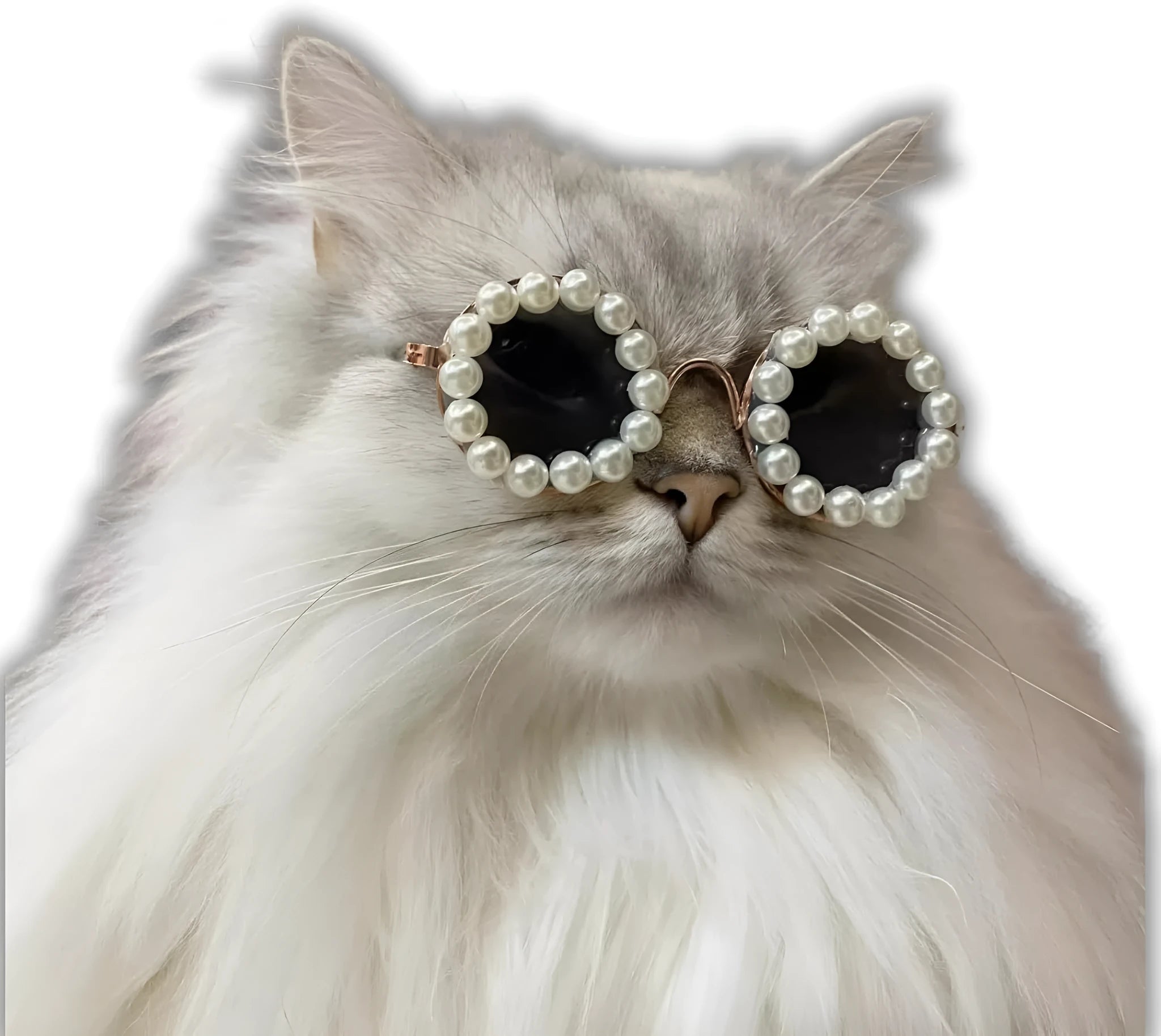 Pearl-rimmed round sunglasses for pets in blue, black, coffee, orange and purple colours