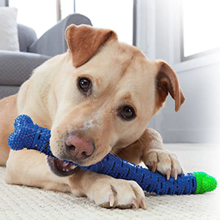 Blue and green silicone dog molar tooth cleaner chewing stick with textured brush head, 25cm long