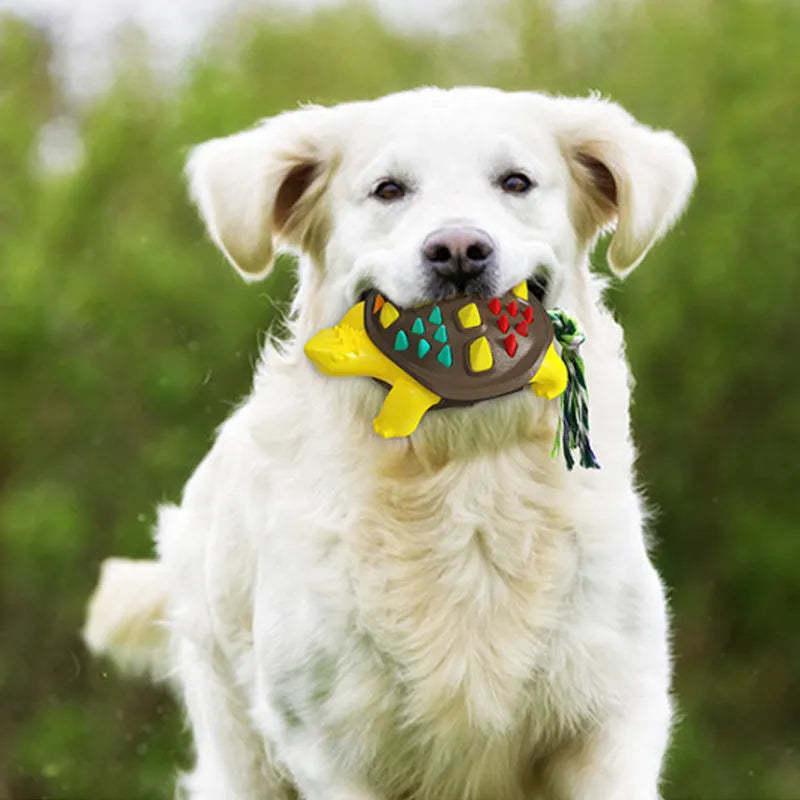 Natural rubber dog toothbrush chew toy in multiple colours for dental plaque reduction