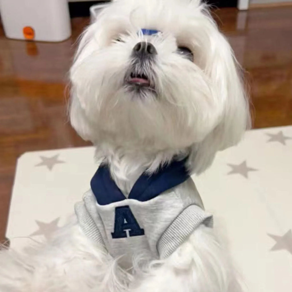 Blue slim-fit pet hoodie with reflective lettering on a dog, showing the hooded design.