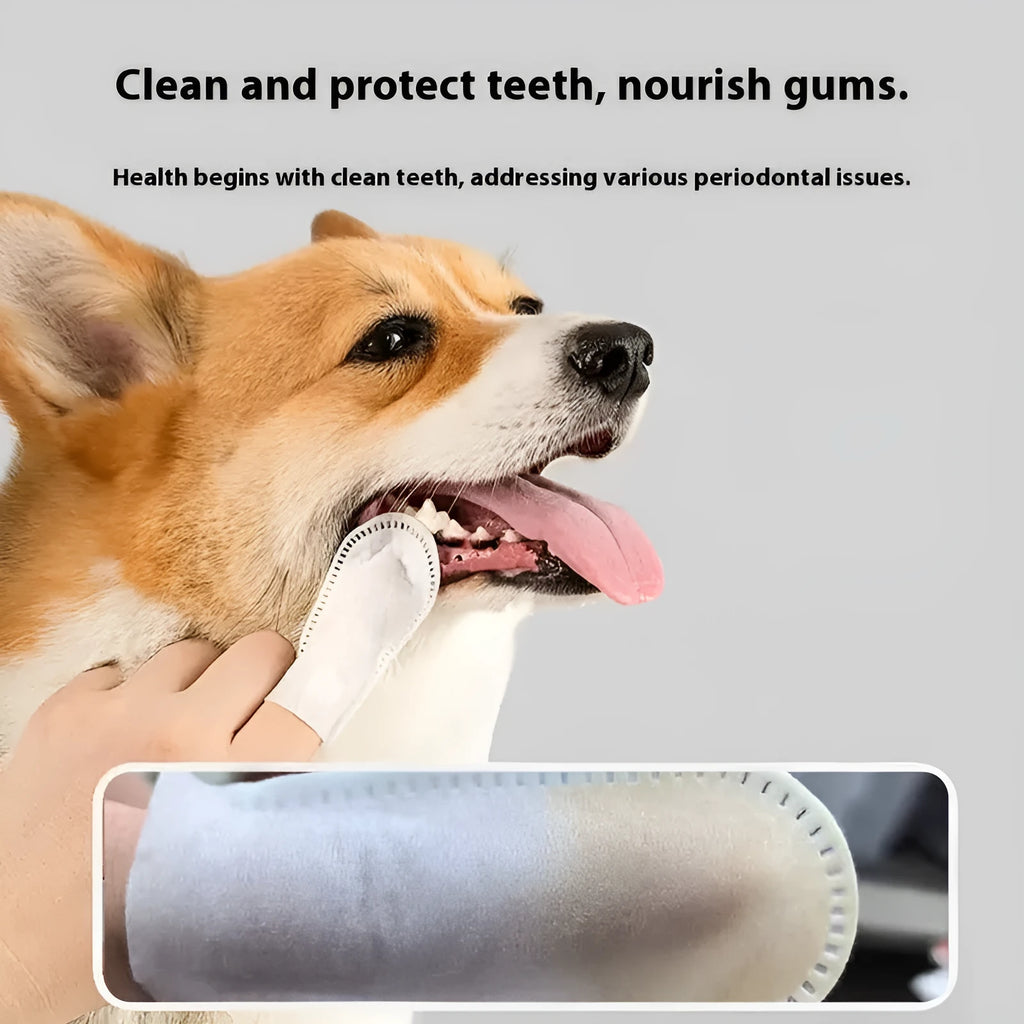 Pack of 50 white non-woven fabric pet teeth cleaning finger stalls for cats and dogs.
