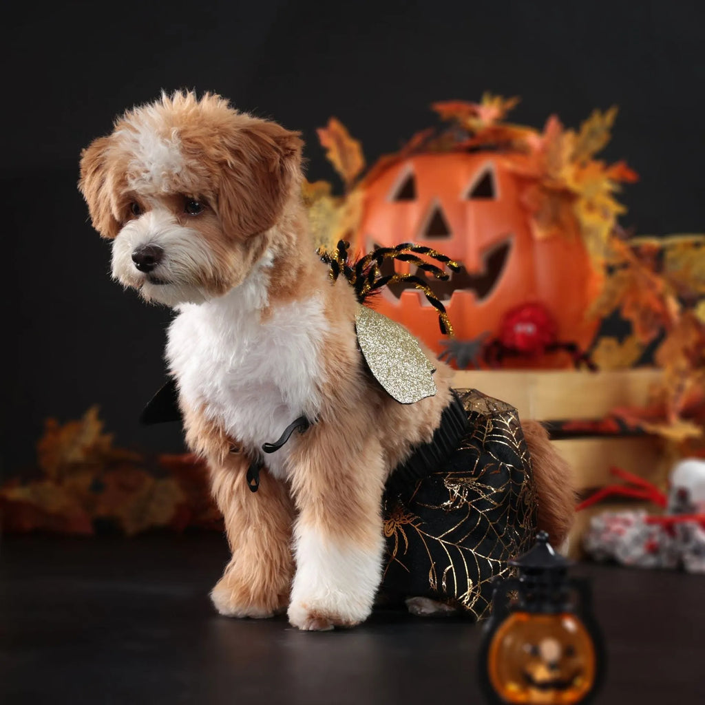 Halloween dog suit costume in colourful design with polyester material