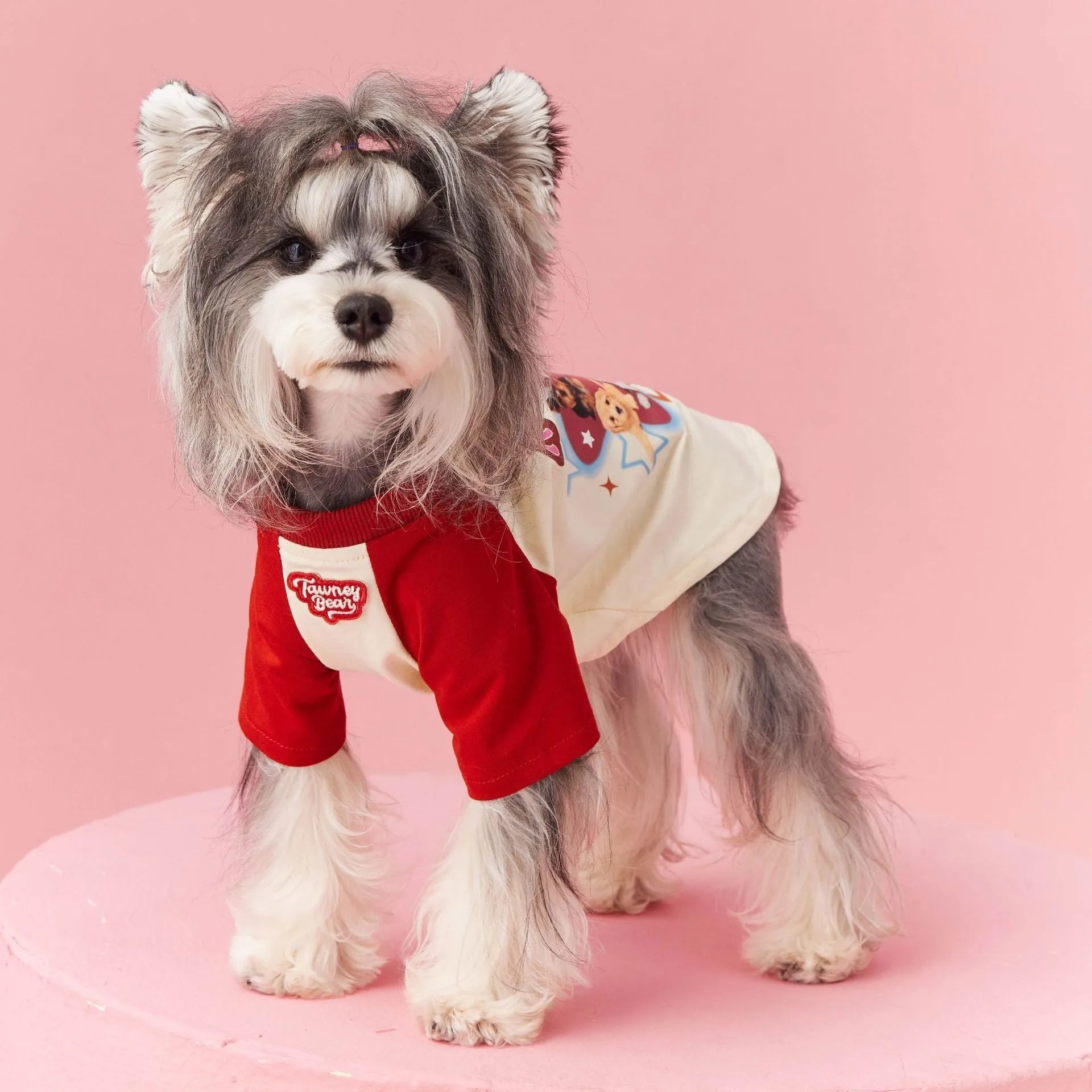 Red embroidered cotton summer clothes for a dog on a size chart showing XS to XXL.