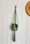Hand-woven minimalist flower pot in polyester cotton available in seven colours
