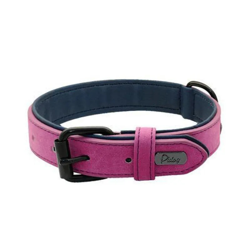 Adjustable dog collar in purple with double-layer thickened construction and buckle fastener