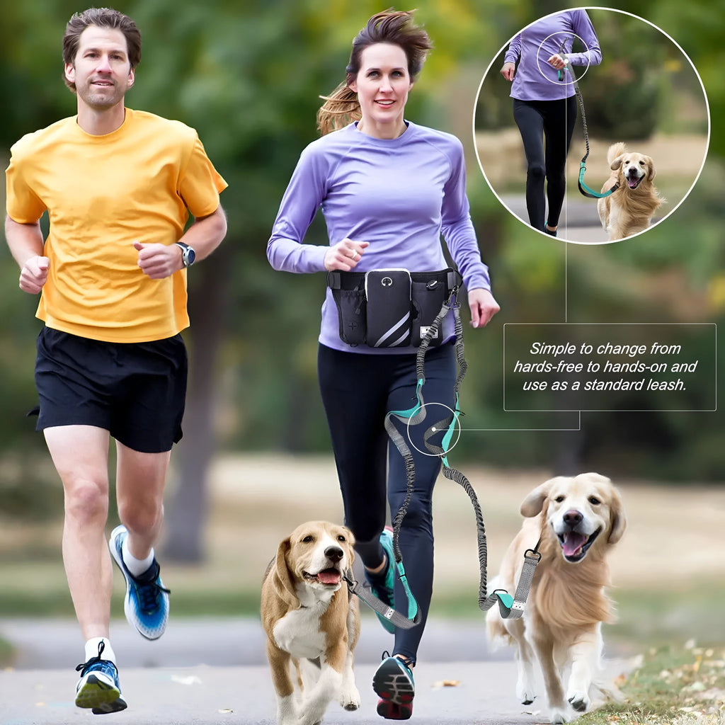 Black nylon outdoor dog walking waist bag and leash set for hands-free pet training