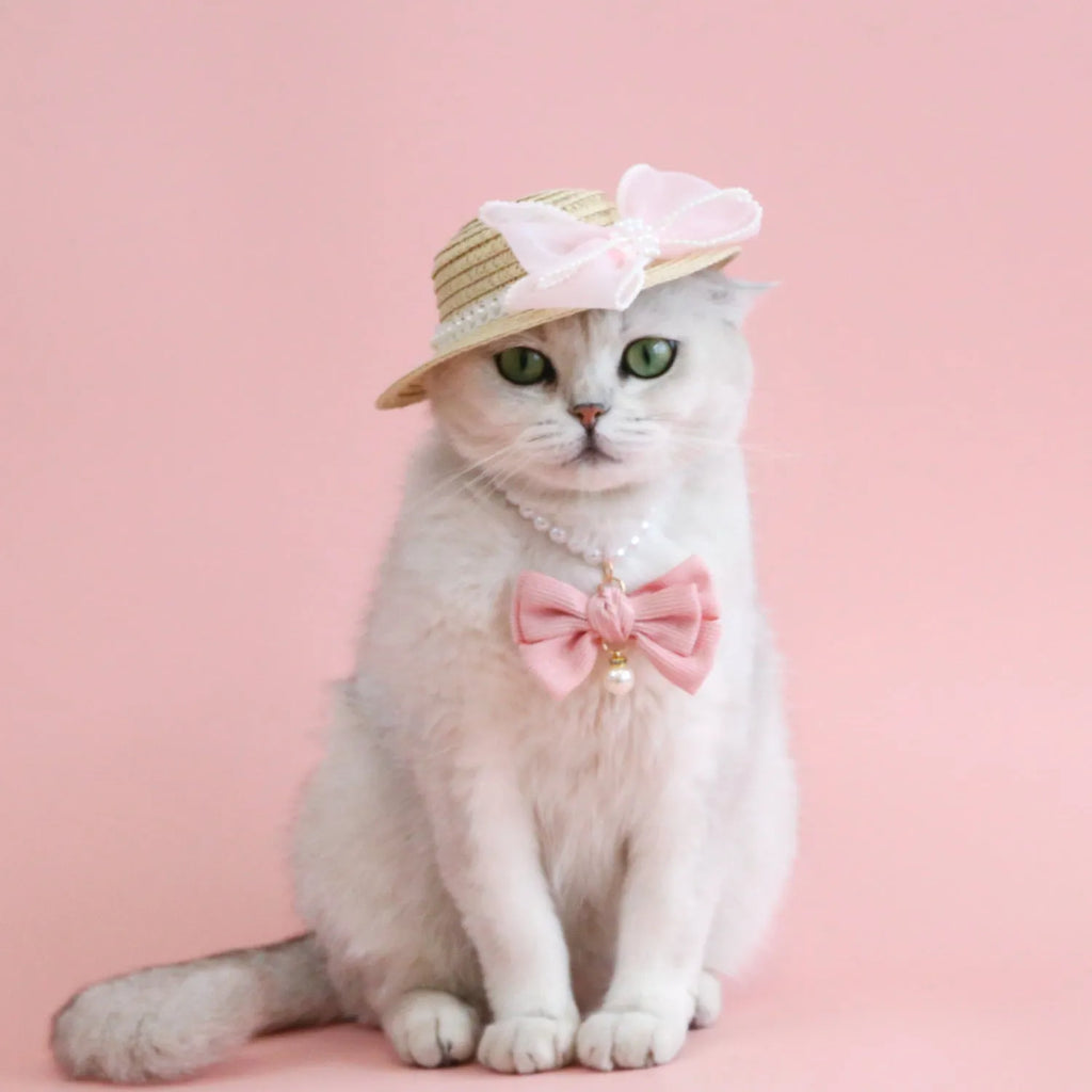 Woven Lafite leaves straw hat with pearl bow on a cat, showing pink pearl colour option in S 13cm size.