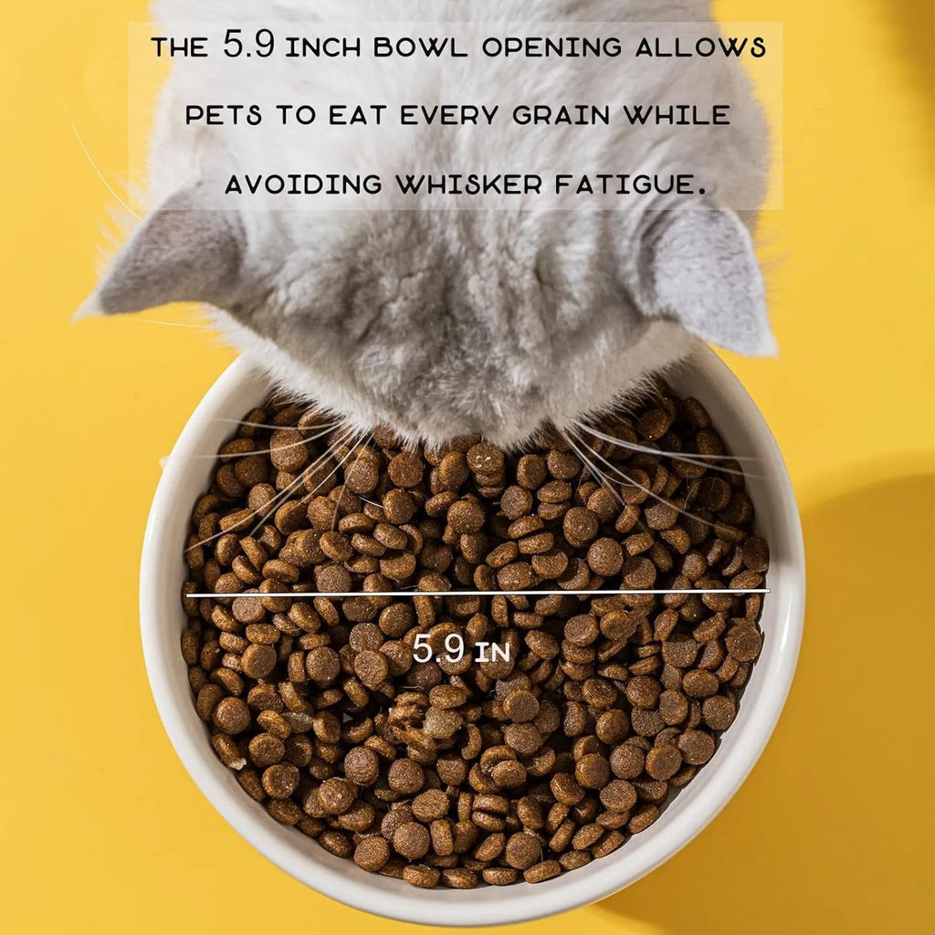Ceramic raised cat bowl in animal theme design on white background