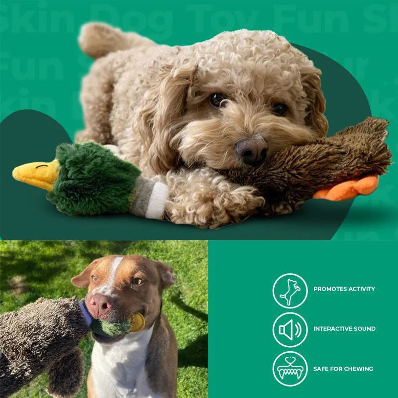 Green wild duck stuffless dog toy with squeakers and bottle cavity opening