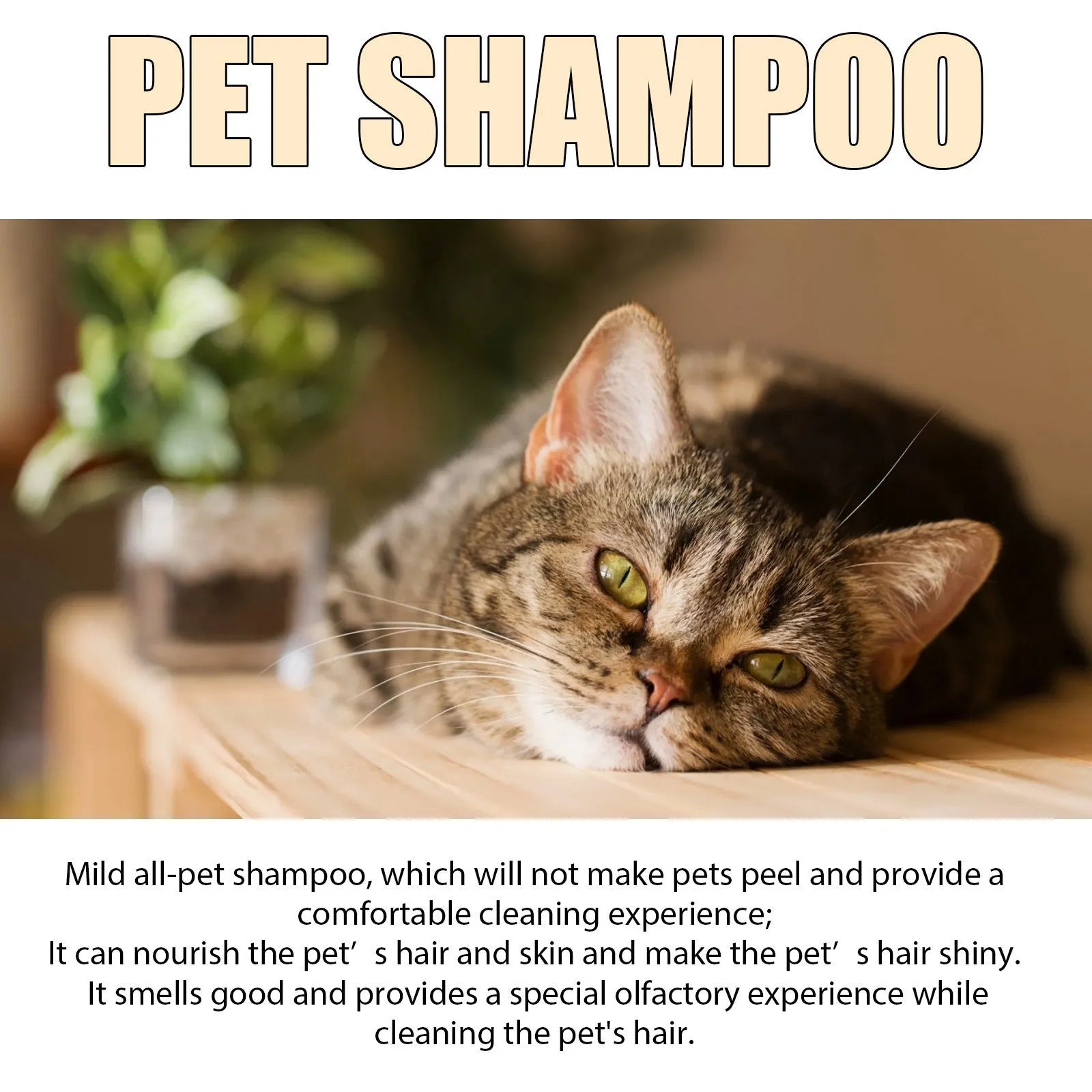 Pet shampoo bottle for dogs and cats in 100ml and 300ml sizes