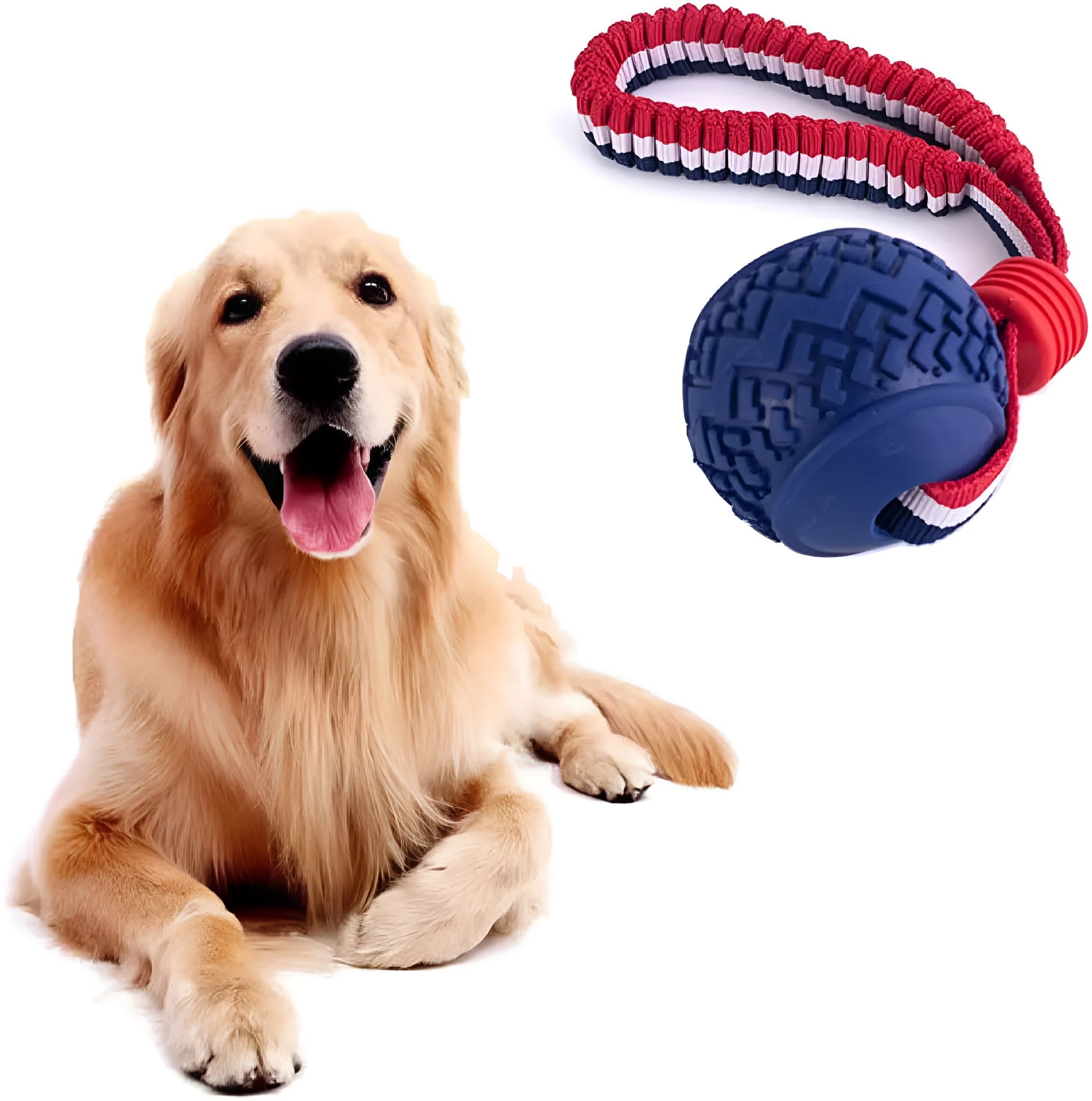 Blue and red dog toy with a rubber ball on a rope for tug-of-war and teeth cleaning.