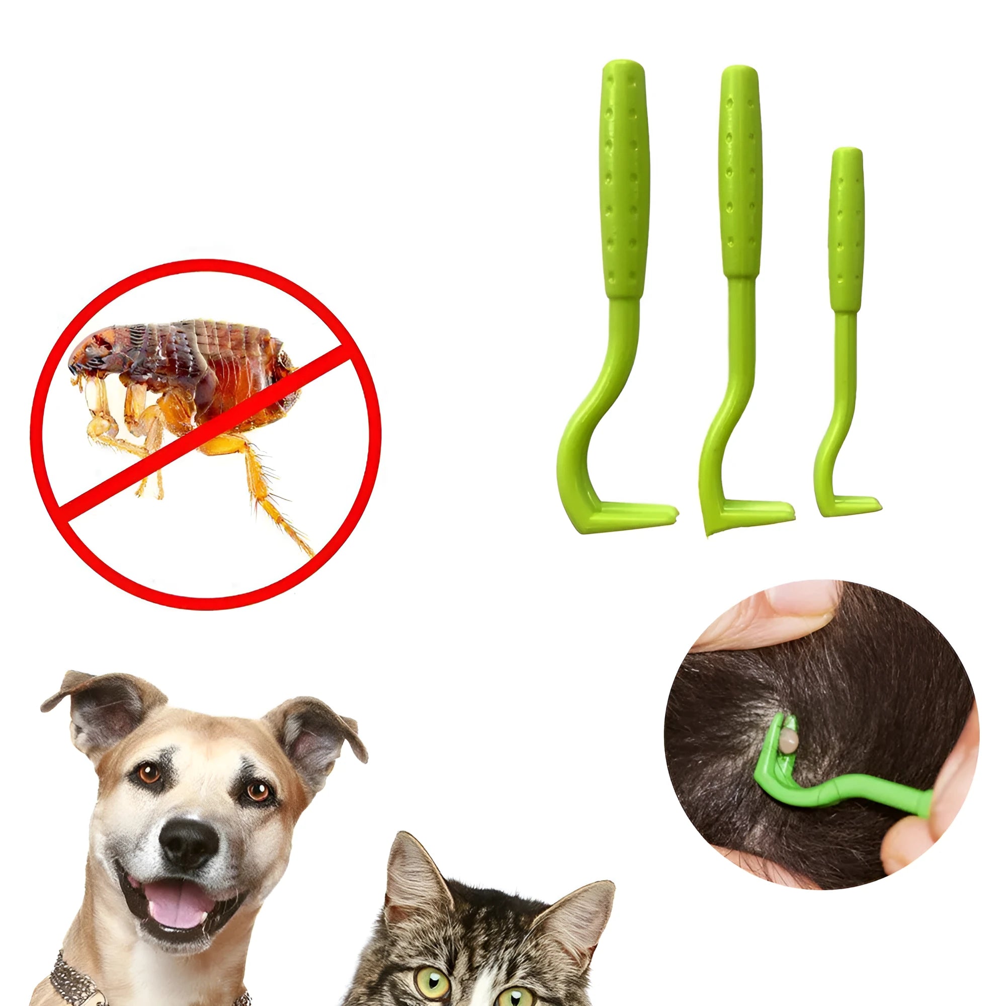 Three plastic tick removal clips for pets in blue and green on a white background.