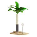 Wooden vertical cat scratching post with integrated food drop ball in canna colour