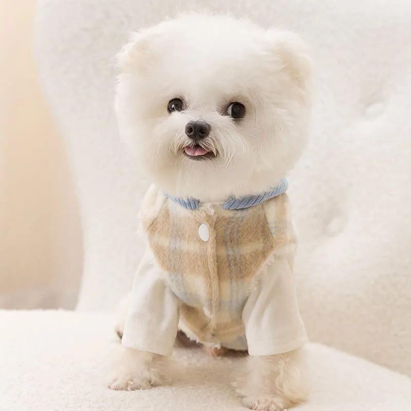 Blue and yellow corduroy hooded dog vest with chessboard grid pattern and traction point