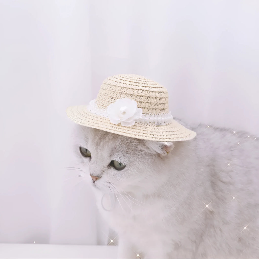 Handmade adjustable paper pet hat with a large bowknot for a dog or cat, shown in a cartoon style.