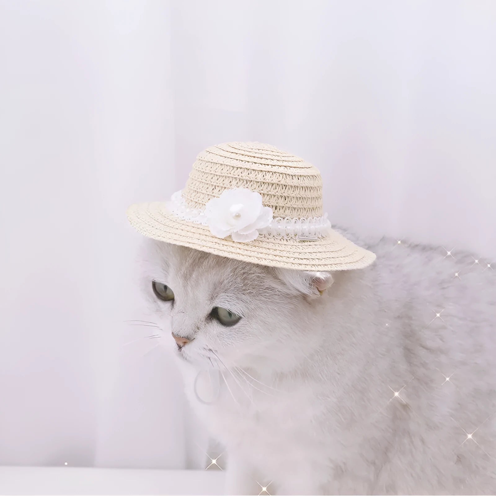 Handmade adjustable paper pet hat with a large bowknot for a dog or cat, shown in a cartoon style.
