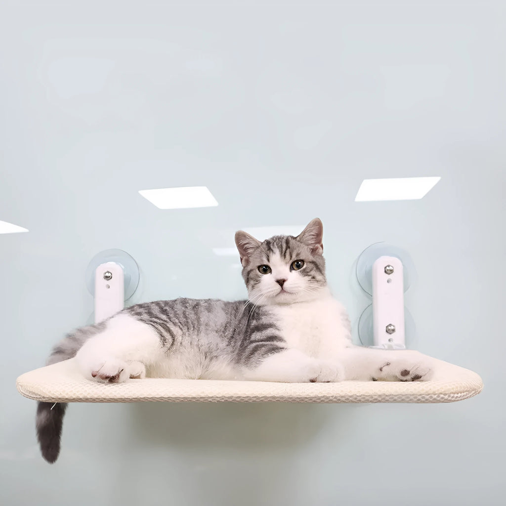 Stainless steel foldable cat window perch with suction cups in beige mesh finish