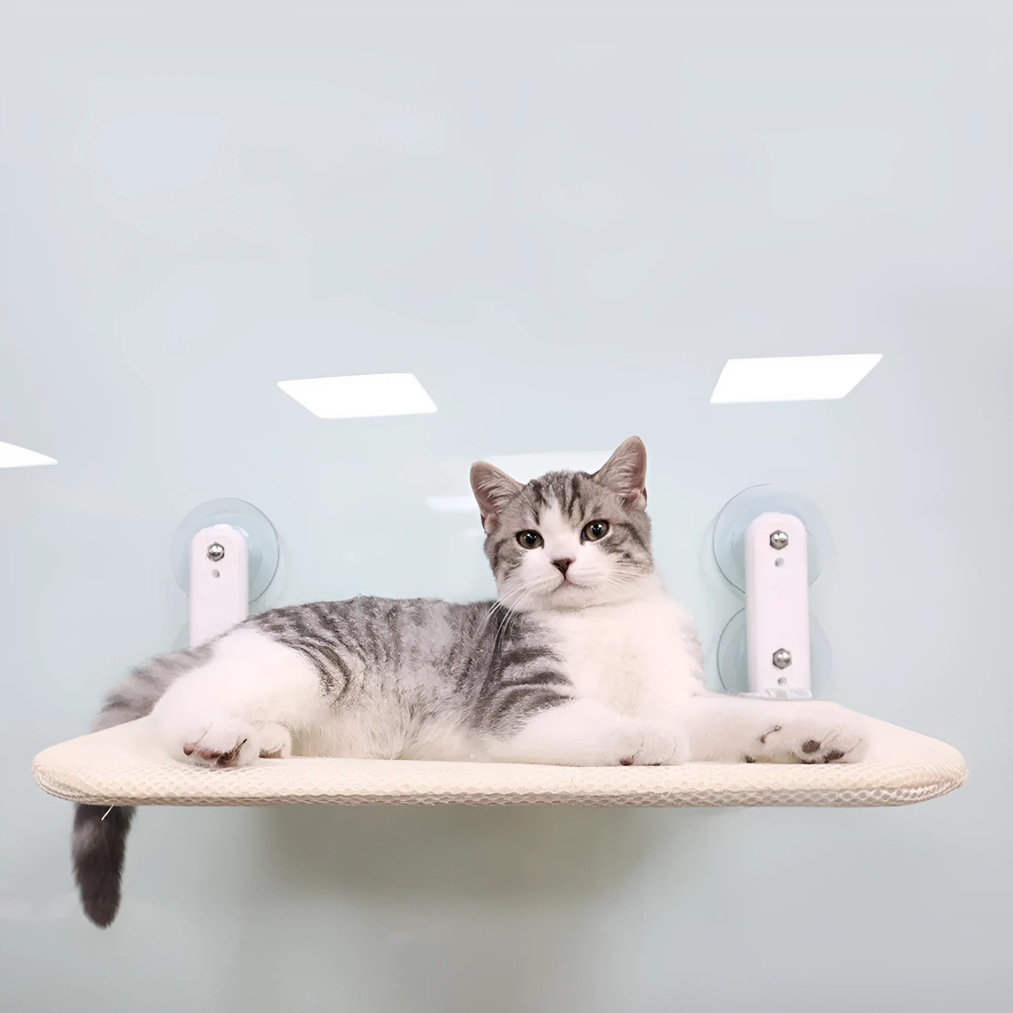 Stainless steel foldable cat window perch with suction cups in beige mesh finish