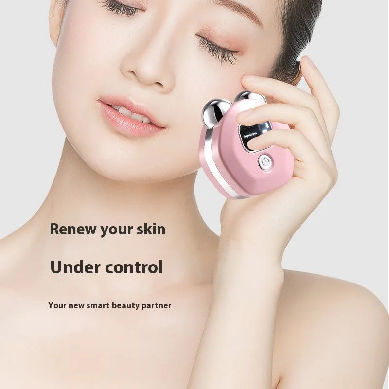Portable hot compress and micro current facial massage instrument with double roller head