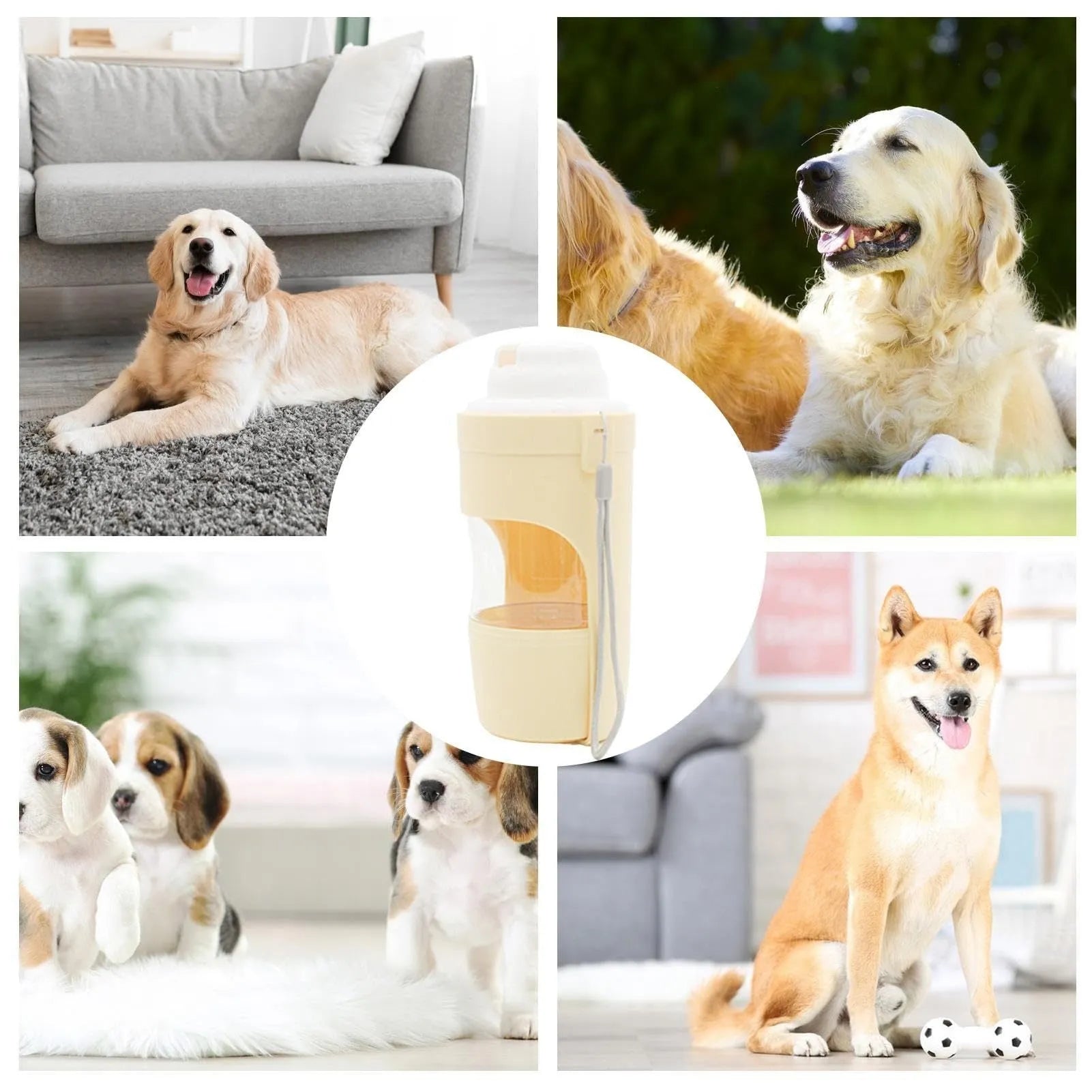 Grey 2-in-1 portable dog water bottle and feeder with lanyard for outdoor use