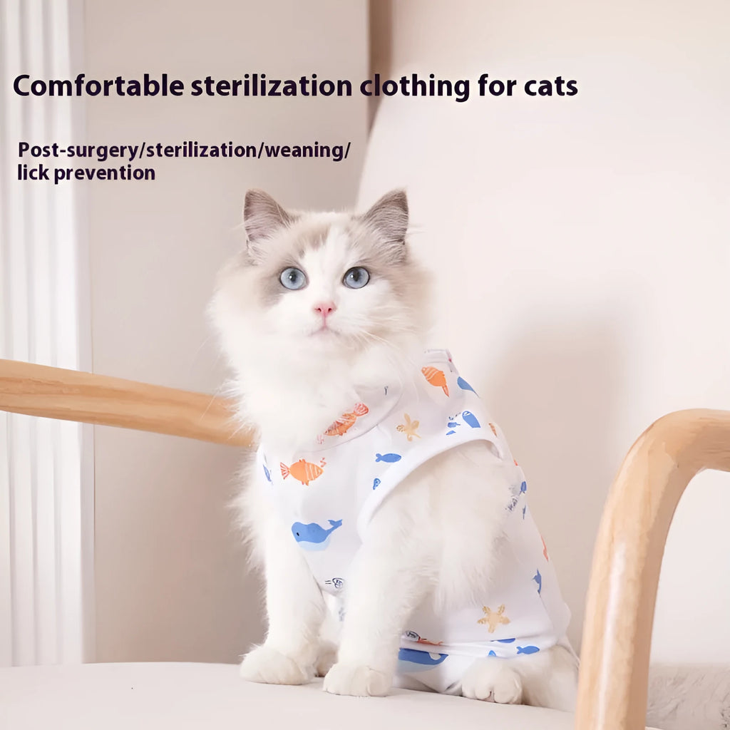 Cat wearing a patterned post-operative sterilisation recovery suit with Velcro closures.