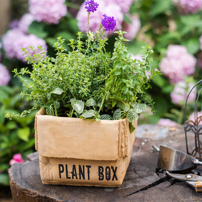 Cement brown paper box design flowerpot with drainage holes for indoor balcony planting