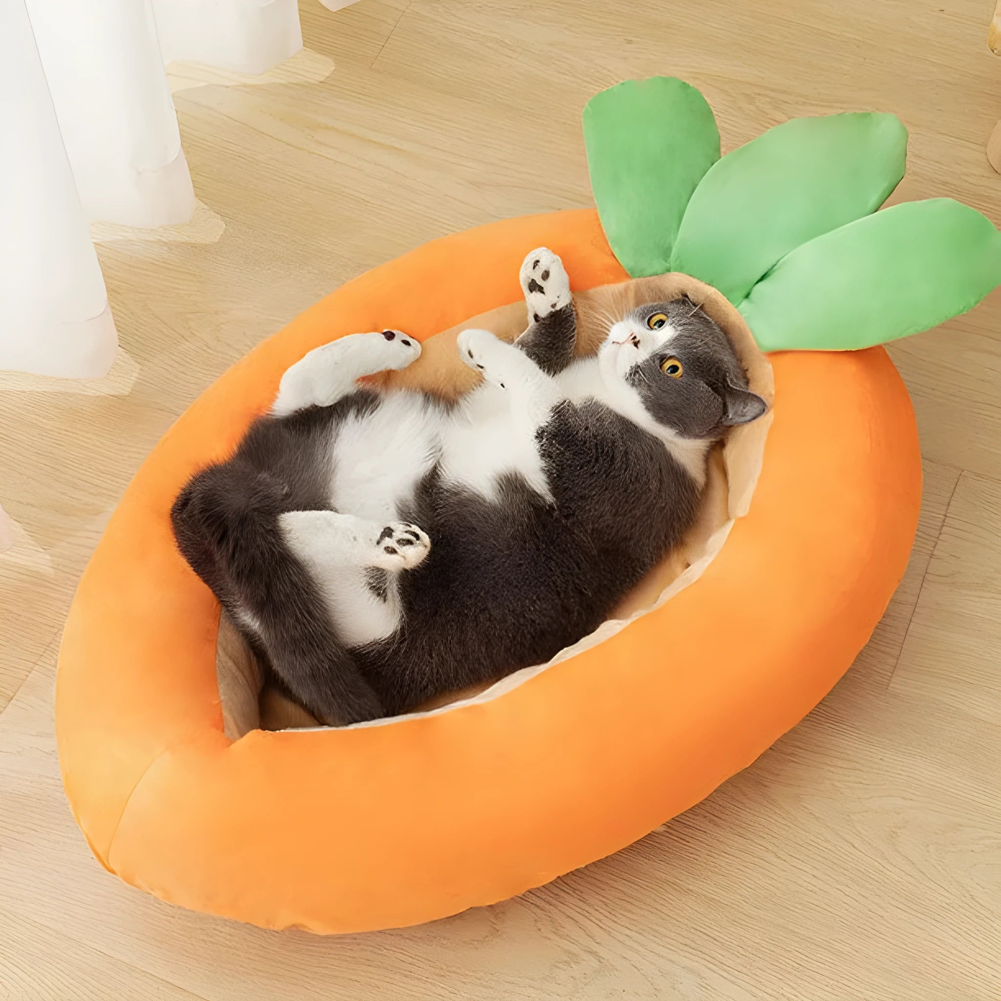 Carrot cartoon print double-sided washable cloth dog mattress in medium or large size.