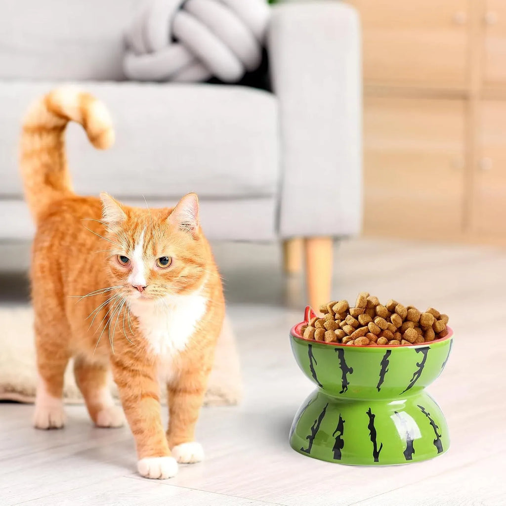 Ceramic raised cat bowl with elevated platform and tilted wide dish design