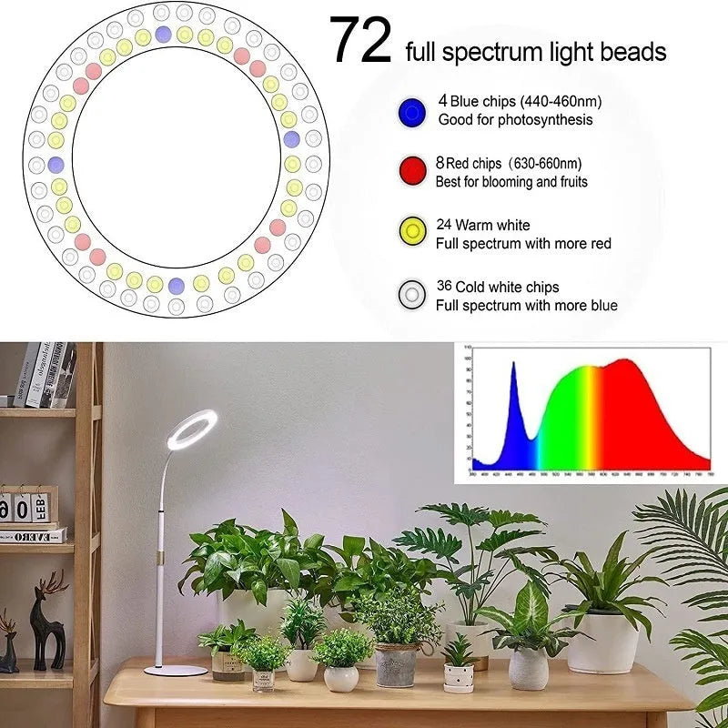 6-inch diameter Angel Ring LED plant grow light on a tall, retractable silver aluminium floor stand.