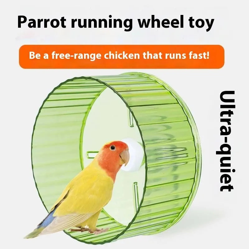 Parrot running wheel toy in plastic construction showing available colours and sizes