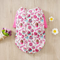 Colourful printed polyester t-shirt on a small dog, showing casual spring and autumn pet clothing.