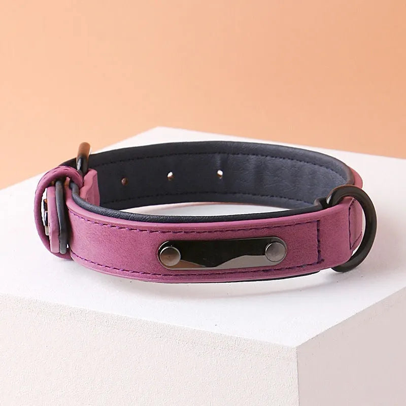 Adjustable dog collar in purple with double-layer thickened construction and buckle fastener