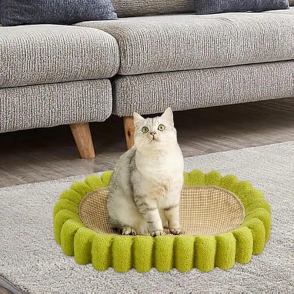 Green oval cat scratch pad bowl with sisal scratching surface measuring 650mm
