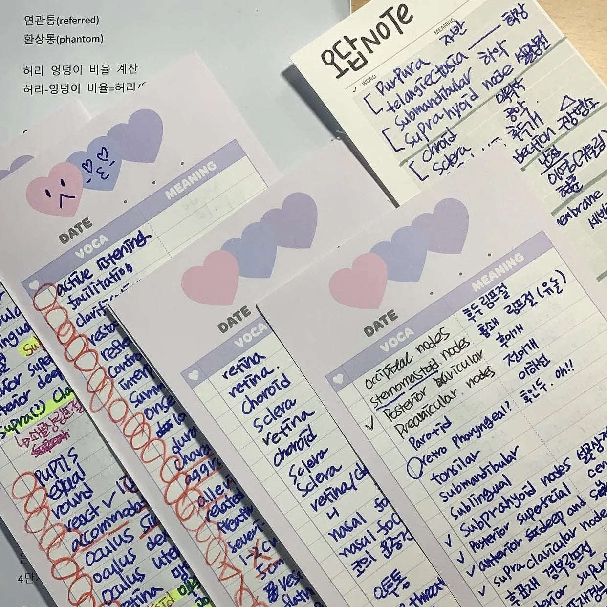 B5 half size notepad with vertical double-sided English words printing in pink, purple or blue cover